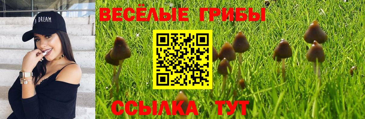 Псилоцибиновые грибы Magic Shrooms Южноуральск