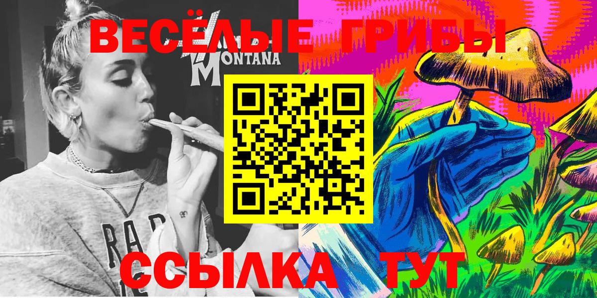 дарнет шоп  Галлюциногенные грибы Psilocybe  Вход с VPN  Южноуральск  Псилоцибиновые грибы прущие грибы 